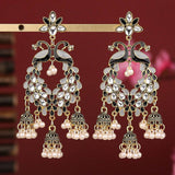 2024 NEW PERSONALIZED PEARL TASSEL EARRINGS_CWAHA2486