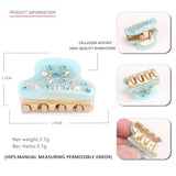 ACETATE DIAMOND MINI HAIR CLIP HAIR ACCESSORIES_CWAHA4241