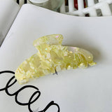 COLORFUL FLORAL ACETATE HAIR CLAW LARGE CHIC CLIP_CWAHA2155
