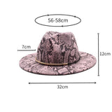 Wool Felt Hat Snake Pattern Retro Outdoor Jazz Hat_Cwah2598