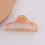 Cwaha1414_Multicolor Large Hair Claw Clip