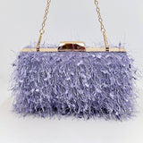 Women Fashion Chain Taseel Shoulder Bag Clutch Bag_Cwab0599