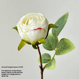 Vintage Single Head Rose Bouquet With Burnt Edges_Cwmm6509