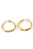 18K Gold Plated Stainless Steel Earrings_Cwaje0379