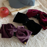 Plus Velour Bow Hairclip_Cwaha0864
