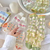 FRESH TRANSPARENT THIN STOCKINGS_CWMS0543