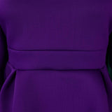 TEMPERAMENT HIGH COLLAR SLIM WAIST A LINE DRESS_CWDSD6086