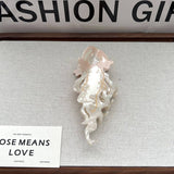 NEW JELLYFISH ACETATE CARTOON HAIR CLIP SSCWAHA5716