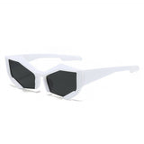 FASHION CUT EDGE SUNGLASSES_CWASG0471