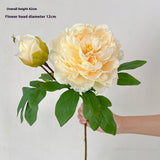 LONG STEM DOUBLE PEONY ARTIFICIAL FLOWER DECOR_CWMM6462