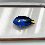 SPOTTED FISH ACETATE HAIR CLAW CLIP FOR WOMEN_CWAHA5790