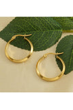 18K Gold Plated Stainless Steel Earrings_Cwaje0388