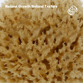 NATURAL COFFEE COLOR SPONGE HONEYCOMB SPONGE_CWMM3418