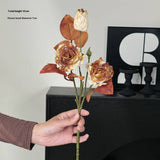 Vintage Autumn Oil Painting Burnt Rose_Cwmm6514