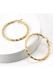 18K Gold Plated Stainless Steel Earrings_Cwaje0381