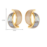 COLORFUL ABALONE INLAID SILVER NEEDLE EARRINGS_CWMM4291