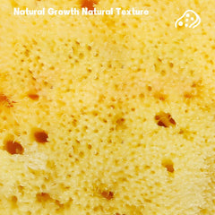 NATURAL COFFEE COLOR SPONGE HONEYCOMB SPONGE_CWMM3415