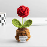Cwmm9273_Crocheted Plant Ornaments