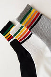 RAINBOW LINED ANKLE CREW SOCKS_CWMS118