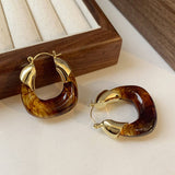 RETRO BROWN LIGHT LUXURY EARRINGS_CWASC1339