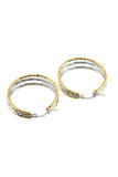 18K Gold Plated Stainless Steel Earrings_Cwaje0401