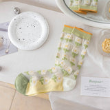 FRESH TRANSPARENT THIN STOCKINGS_CWMS0543