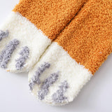 Women Home Padded Warm Coral Velvet Socks_Cwms0333