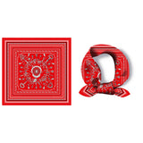 FAUX SILK PAISLEY PRINT SCARF VINTAGE NECK WRAP_CWASC0654