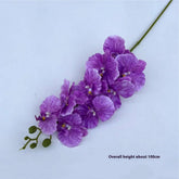 Vintage 9-Head Silk Butterfly Orchid Stem_Cwmm6507