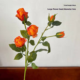 Vintage 5-Head Angora Rose With Burnt Edges_Cwmm6512