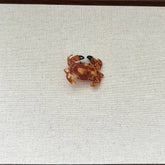 CRAB ACETATE HAIR CLAW CUTE MEDIUM DUCKBILL CLIP_CWAHA5773