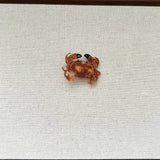 CRAB ACETATE HAIR CLAW CUTE MEDIUM DUCKBILL CLIP_CWAHA5773