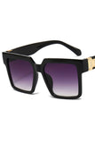 BOX RETRO SUNGLASSES_CWASG0133