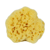 NATURAL COFFEE COLOR SPONGE HONEYCOMB SPONGE_CWMM3415