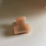 MINIMALIST GOLD TONE MINI TORTOISE HAIR CLAW_CWAHA4016