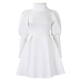 TEMPERAMENT HIGH COLLAR SLIM WAIST A LINE DRESS_CWDSD6086