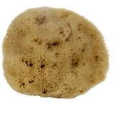 NATURAL SPONGE COFFEE COLOR NATURAL VELVET SPONGE_CWMM3419