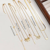 NICHE DESIGN TITANIUM STEEL NON FADING NECKLACE_CWMM3576