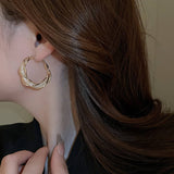 ROUND SMALL LUXURY FRENCH EARRINGS_CWAJE2056