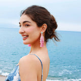 MINT MAMBO STYLE TRANSPARENT TASSEL EARRINGS_CWAJE1661