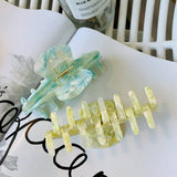 COLORFUL FLORAL ACETATE HAIR CLAW LARGE CHIC CLIP_CWAHA2155