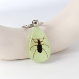 AMBER GLOW IN THE DARK INSECT KEYCHAIN PENDANT_CWMM3698