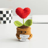 Cwmm9273_Crocheted Plant Ornaments