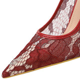 Women Mesh Hollow Lace Pointed Toe High Heels