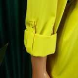 LAPEL SOLID COLOR FASHIONABLE LOOSE CASUAL DRESS_CWDSD6143