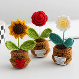 Cwmm9273_Crocheted Plant Ornaments
