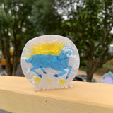 Star Sign Claw Clip Acrylic Cute Hair Accessor_Cwaha2141