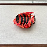 DOPAMINE COLOR TROPICAL FISH ACETATE CLAW CLIP M_CWAHA5835