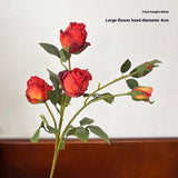 Vintage 5-Head Angora Rose With Burnt Edges_Cwmm6512