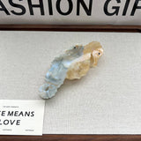 CUTE SEAHORSE ACETATE SHARK HAIR CLAW CLIP_CWAHA5769